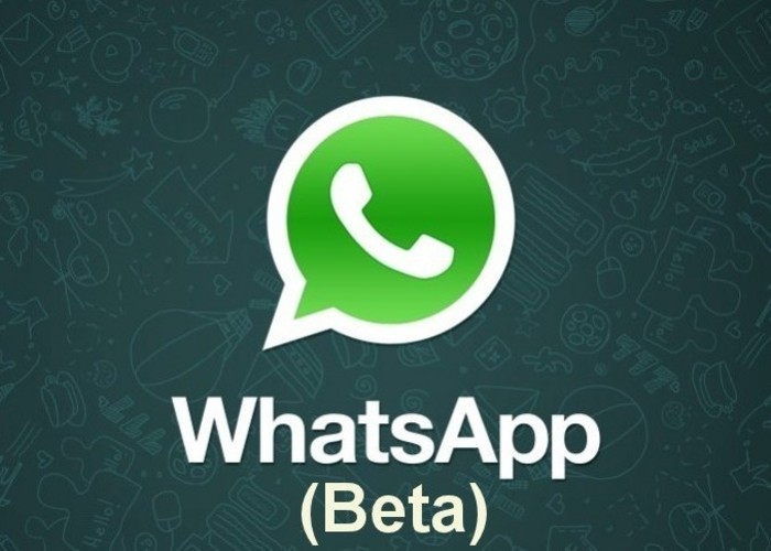 WhatsApp-Beta1