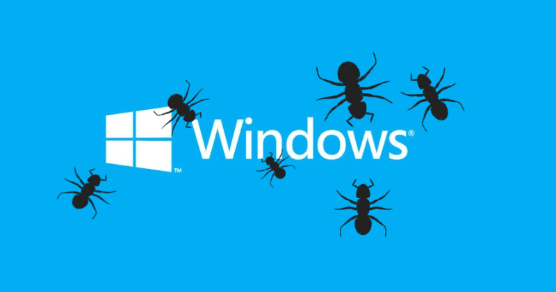windows-bugs