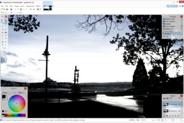 Paint.NET