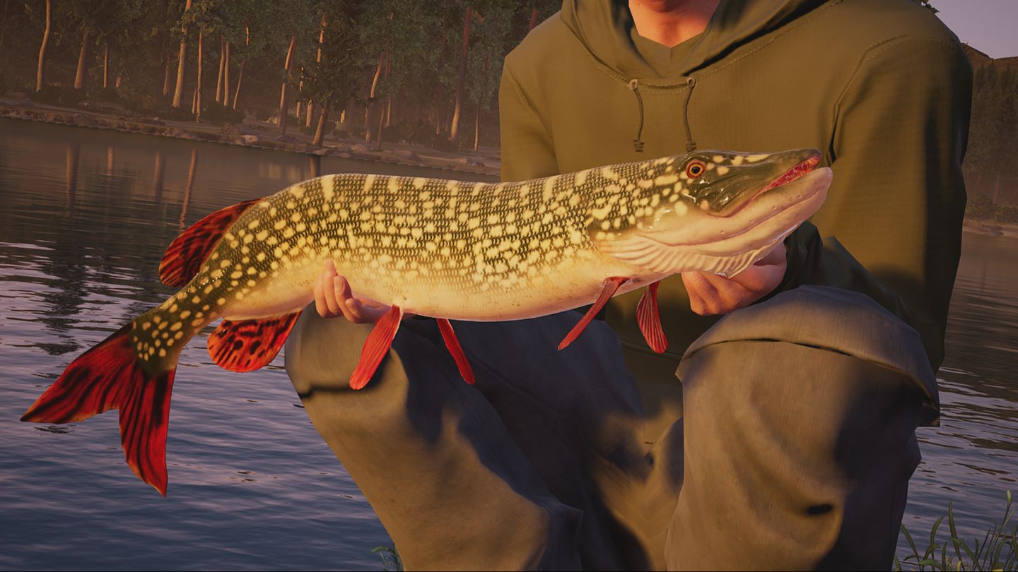 Fishing Sim World erscheint am 13. September 2018 auf der Xbox One.