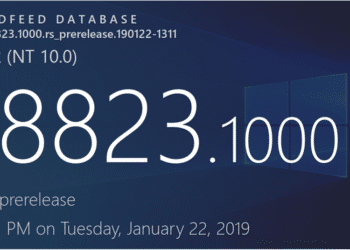 Windows 10 19H2 Entwciklung
