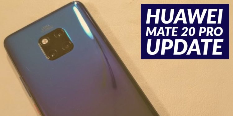 Huawei Mate 20 Pro: So praktisch ist der neue dedizierte Super-Makro-Modus