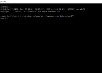 python windows 10 store