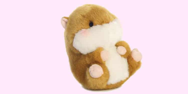 [Deal] In einer aus den Fugen geratenen Welt, gibt nur noch dieser Hamster Menschen Hoffnung