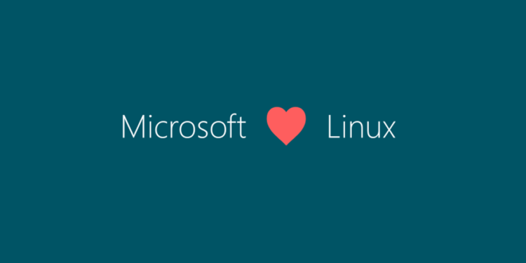 Kommt Microsoft Edge bald auch für Linux-Systeme