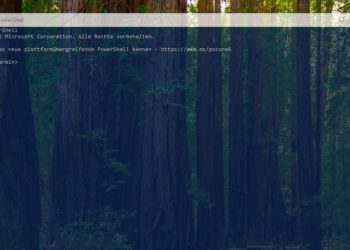 Windows Terminal