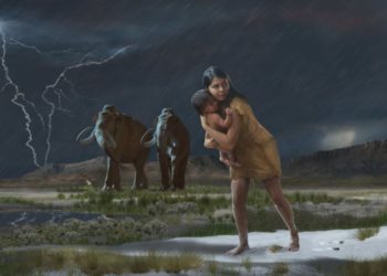 Wissenschaft Forschung Mammut Urzeit Mensch
