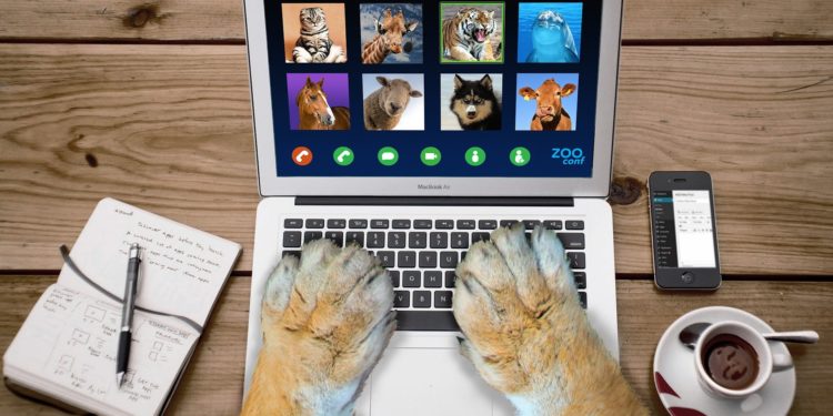Videotelefonie-Test 2022: Die besten Videochat-Programme