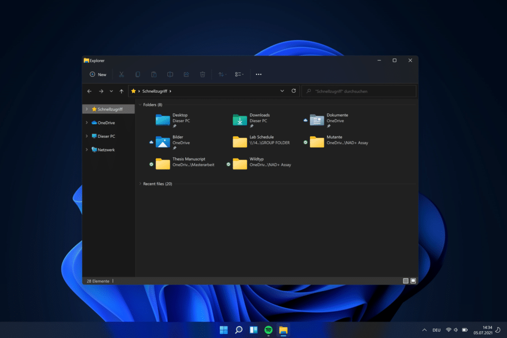 Windows 11 Datei-Explorer