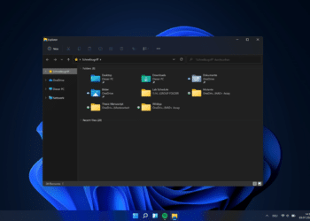 Windows 11 Download ordner leeren