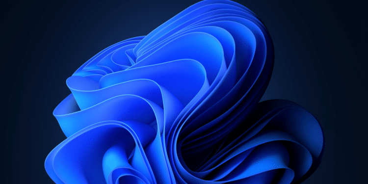 Windows 11 suchfeld ausblenden