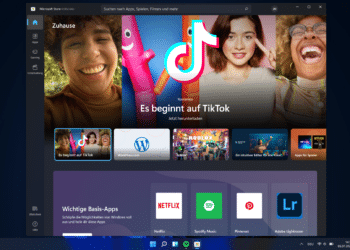 Windows 11