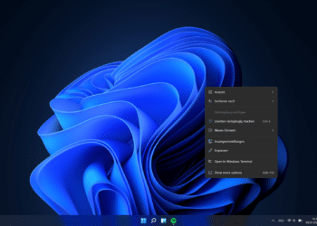 Windows 11