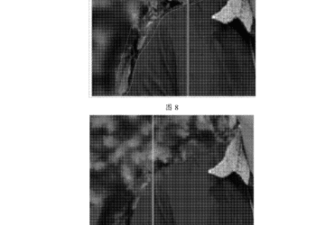 Realme Patent