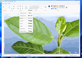 Paint Windows 11