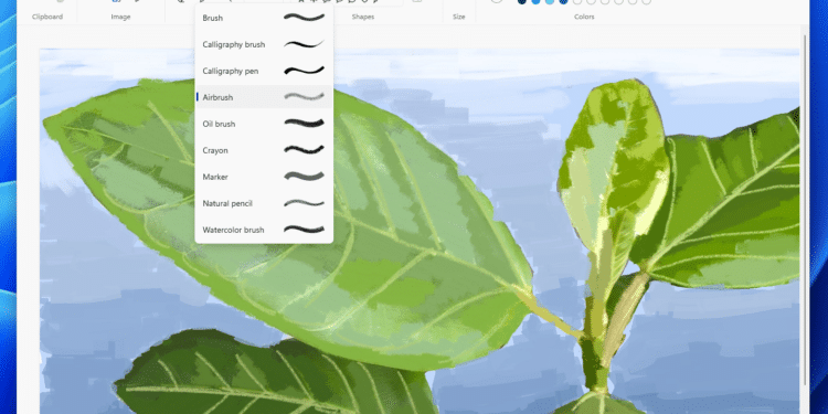 Paint Windows 11