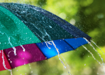 5 wasserdichte Smartphones 2022