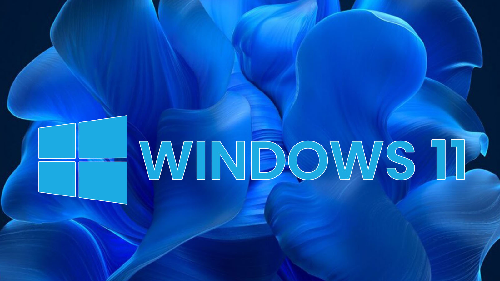 Windows 11: Community liefert alte Version des Standard-Wallpapers 