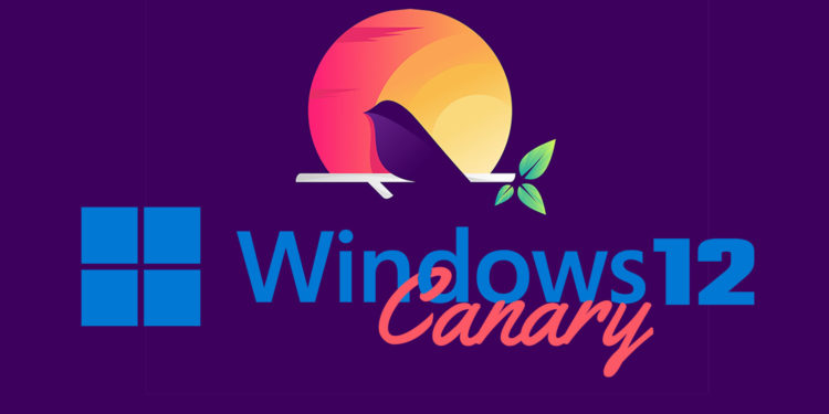 Start des neuen Microsoft Test-Kanal Canary